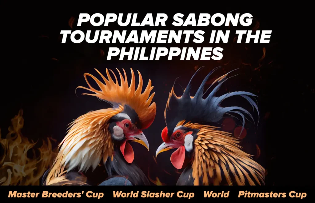 Online Sabong Tournaments